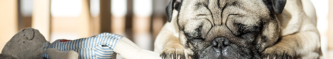 5 Ways to Guarantee You’ll Bore Your Audience