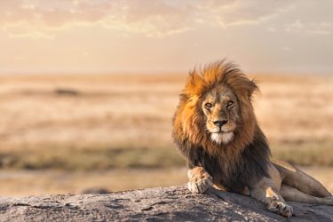 3 Ways to Grow Personal Brand with Webinars